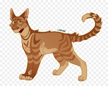 Into the Wild Cat Forest of Secrets Firestar Warriors - cat Into the Wild Cat Forest of Secrets Firestar Warriors - cat