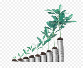 Investment Stock Dividend Finance Short - Investment Stock Dividend Finance Short -
