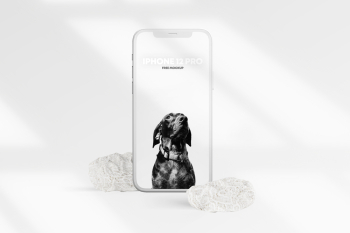 iPhone 12 PRO Clay Scene Free Mockup iPhone 12 PRO Clay Scene Free Mockup
