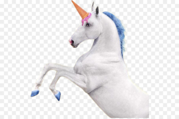 iPhone 7 IPhone 8 Plus iPhone X Unicorn - Unicorn horse iPhone 7 IPhone 8 Plus iPhone X Unicorn - Unicorn horse