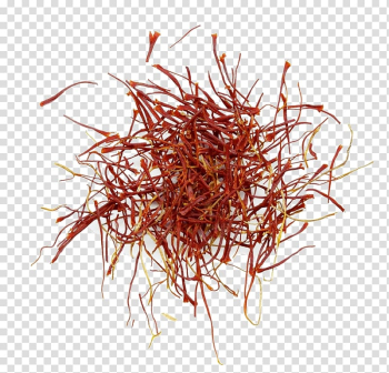 Iranian cuisine Autumn Crocus Italian cuisine Saffron Spice, saffron transparent background PNG clipart