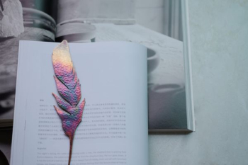 iridescent feather decor on white printer book pages iridescent feather decor on white printer book pages
