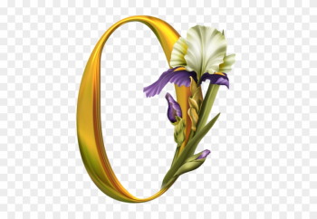 Iris Alphabet - Alphabet Iris Alphabet - Alphabet