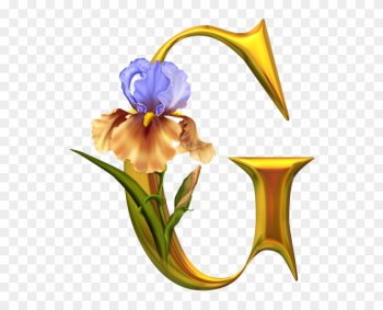 Iris Alphabet - Tube Alphabet Iris Alphabet - Tube Alphabet