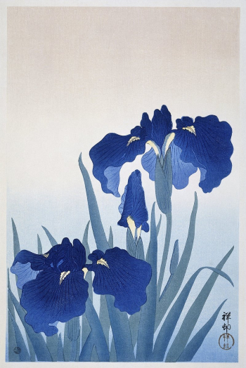 Iris flowers (1925 - 1936) | Free Photo Illustration - rawpixel