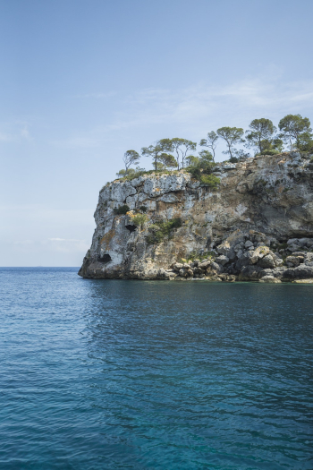 Island and Body of Water