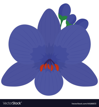 isolated blue flower with buds isolated blue flower with buds