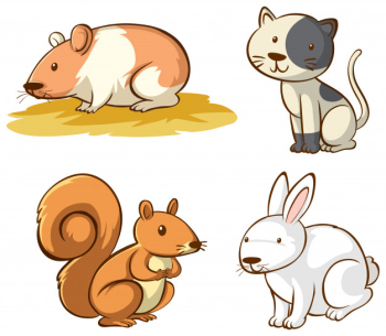 Isolated cute animals Free Vector Isolated cute animals Free Vector