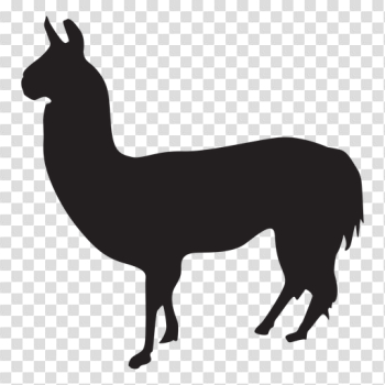 Isolated llama silhouette - Transparent PNG & SVG vector
