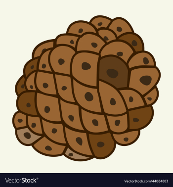 isolated of a cone isolated of a cone