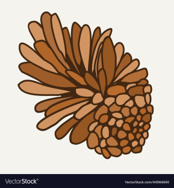 isolated of a cone isolated of a cone