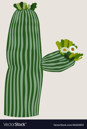 isolated of blooming cactus isolated of blooming cactus