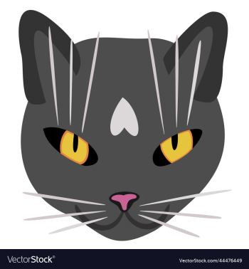isolated of cats head isolated of cats head