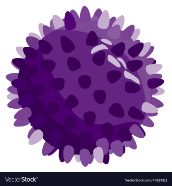 isolated of dark purple ball for pets isolated of dark purple ball for pets