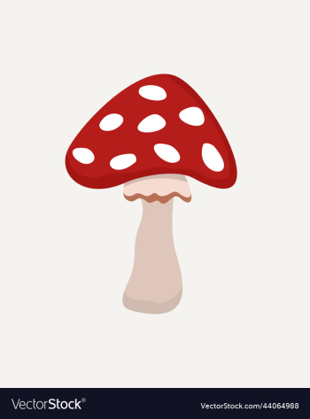 isolated of fly agaric isolated of fly agaric