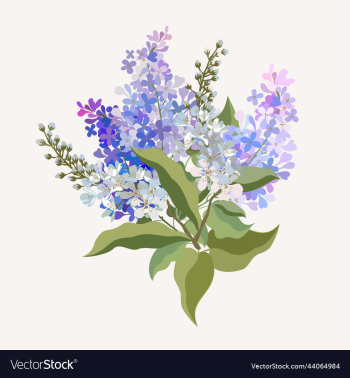 isolated of spring bouquet isolated of spring bouquet