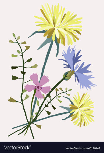 isolated of wildflowers isolated of wildflowers