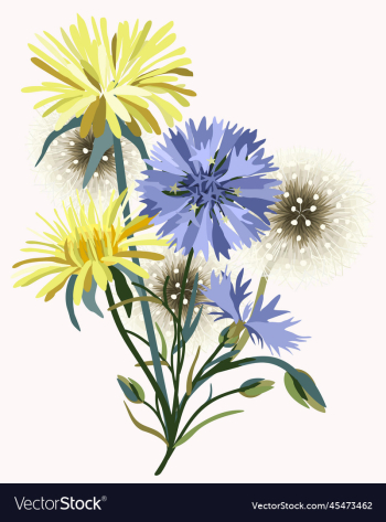 isolated of wildflowers isolated of wildflowers