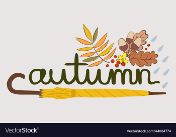 isolated of yellow umbrella autumn isolated of yellow umbrella autumn
