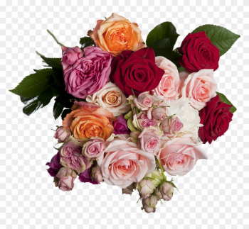 Isolated, Roses, Bouquet, Multi Coloured, Romantic - Roses Bouquet Png Isolated, Roses, Bouquet, Multi Coloured, Romantic - Roses Bouquet Png