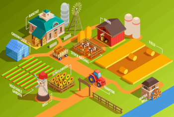 Isometric farm infographics Free Vector