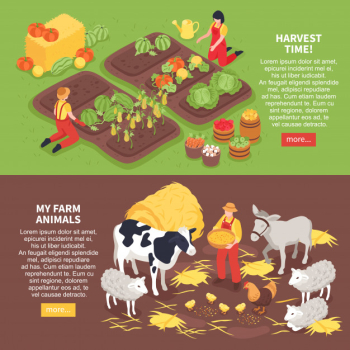 Isometric horizontal banners set with farm animals and farmers reaping harvest 3d isolated Free Vector