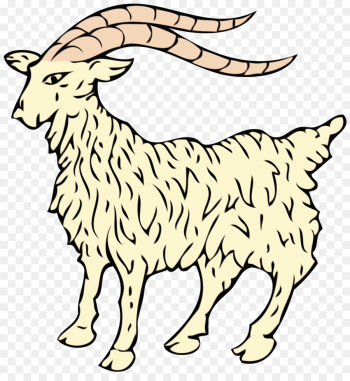 Istriana Goat, Bagot Goat, Istria, Mammal, Vertebrate PNG