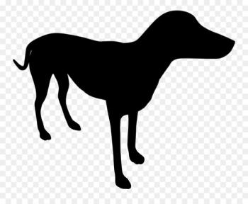 Italian Greyhound Dog breed Longdog Clip art - Italian Greyhound Dog breed Longdog Clip art -