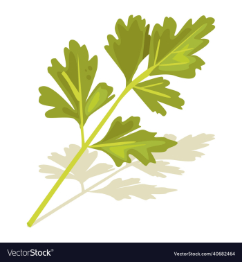 italian vegetable italian vegetable
