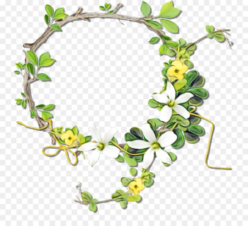 Ivy Ivy