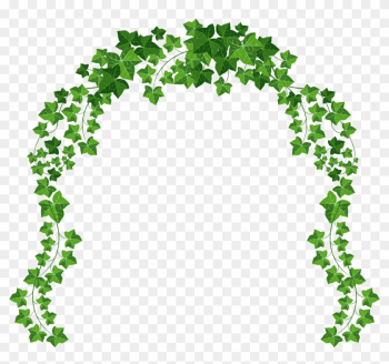 Ivy Clipart Transparent - Vine Png Ivy Clipart Transparent - Vine Png
