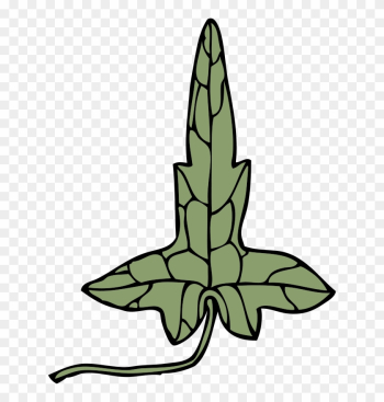 Ivy Leaf Clip Art Download - Clip Art Ivy Leaf Clip Art Download - Clip Art