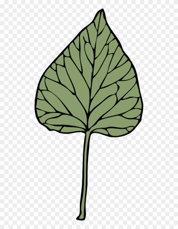 Ivy Leaf Clip Art Vines Leaves Growing G2ov3s Clipart - Clip Art Ivy Leaf Clip Art Vines Leaves Growing G2ov3s Clipart - Clip Art