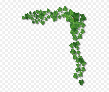 Ivy Page Borders Ivy Page Borders