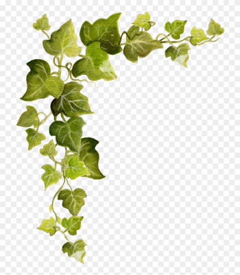 Ivy Snip Flickr Photo Sharing Pumpkin Corner Border Clipart ...