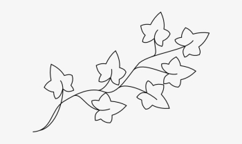 Ivy Template Clip Art - Pumpkin Vine Coloring Page Transparent PNG ...