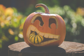 Jack O Lantern Jack O Lantern