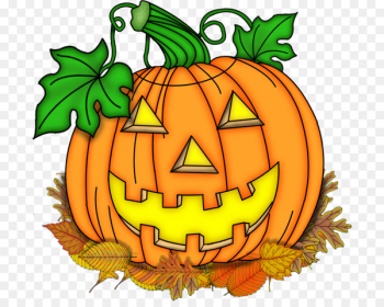 Jack-o'-lantern Pumpkin Halloween Squash Calabaza - jack o lantern fest 