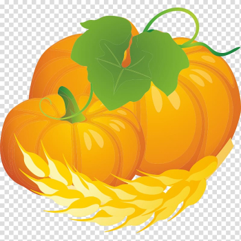 Jack-o'-lantern Pumpkin Winter squash Calabaza Gourd, pumpkin transparent background PNG clipart