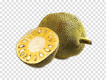 Jackfruit Fruit tree Gourd Tropical fruit, Radhika Apte transparent background PNG clipart