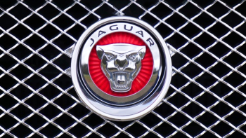 Jaguar Emblem Jaguar Emblem