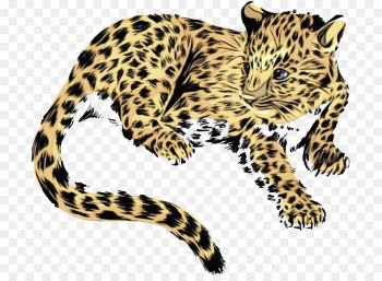 Jaguar, Jaguar Etype, Jaguar Mark Iv, Terrestrial Animal, Vertebrate PNG