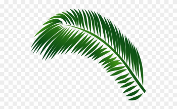 Jamaica Clipart Palm Tree - Leaf Jamaica Clipart Palm Tree - Leaf