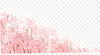 Japan Cherry blossom Wallpaper - Romantic pink cherry blossoms 