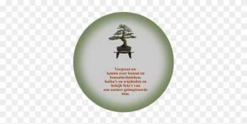 Japanese Bonsai Tree Japanese Bonsai Tree