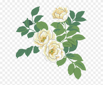 Japanese Camellia Red Watercolor Painting Illustration - Watercolor White And Green Flowers Free Png