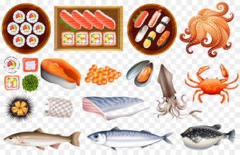 Japanese Cuisine Sushi Onigiri Squid as food Seafood - Japanese food illustration 