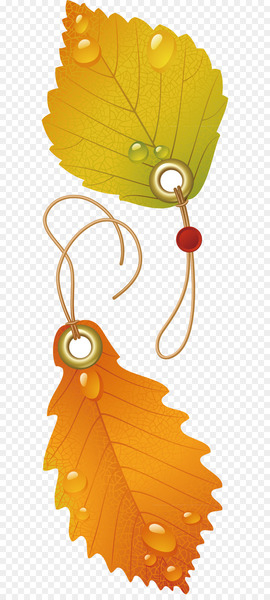 Japanese maple Autumn leaf color - Maple leaf decoration design vector 
