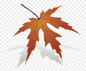 Japanese Maple Maple Leaf Clip Art - Japanese Maple Maple Leaf Clip Art Japanese Maple Maple Leaf Clip Art - Japanese Maple Maple Leaf Clip Art