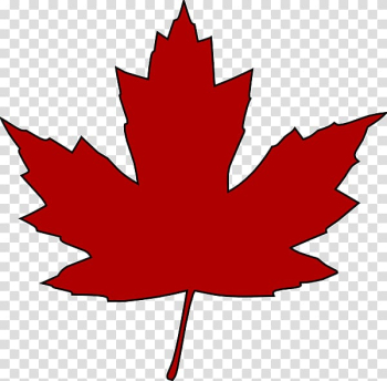 Japanese maple Maple leaf , maple leaf transparent background PNG clipart Japanese maple Maple leaf , maple leaf transparent background PNG clipart